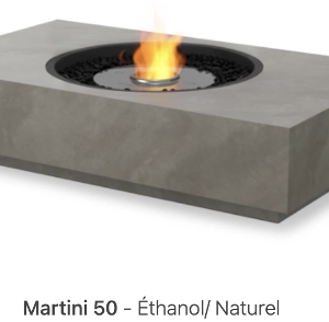 Martini 50 Ecosmart Fire