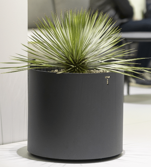 **NEW ARRIVAL** Todus - Verdi - Cache-pot – Image 6