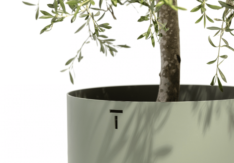 **NEW ARRIVAL** Todus - Verdi - Cache-pot – Image 5