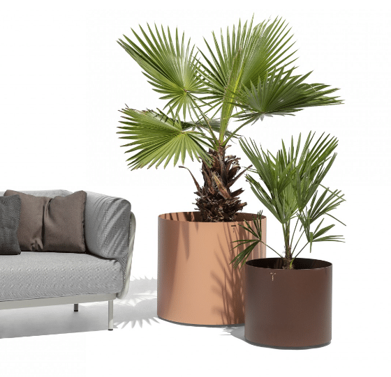 **NEW ARRIVAL** Todus - Verdi - Cache-pot – Image 4